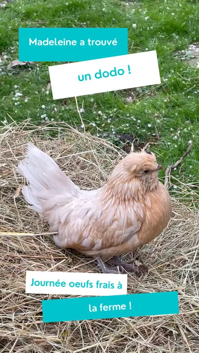 Le Domaine de l’île