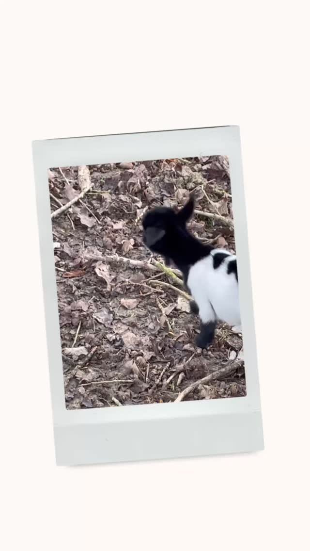 Le Domaine de l’île