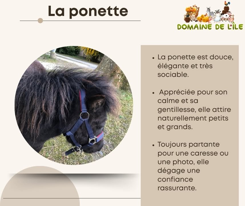 Le Domaine de l’île