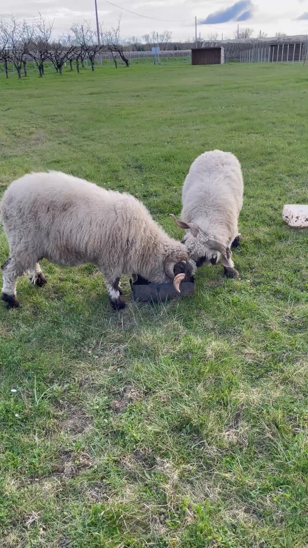 Le Domaine de l’île