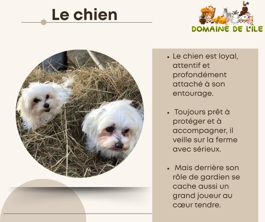 Le Domaine de l’île